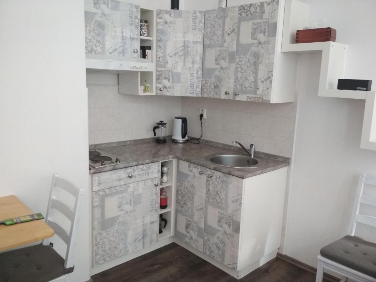 Apartmán Pernink - ubytování v srdci Krušných hor Esterno foto