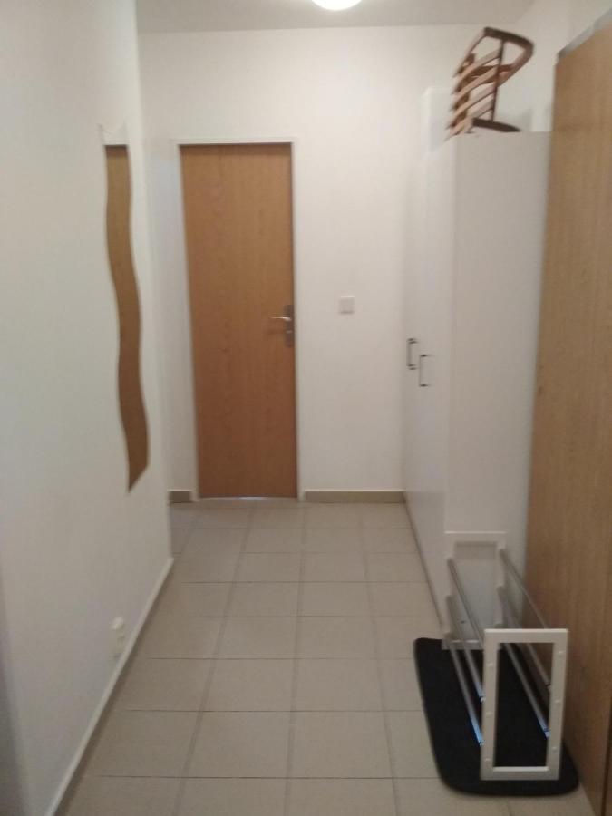 Apartmán Pernink - ubytování v srdci Krušných hor Esterno foto
